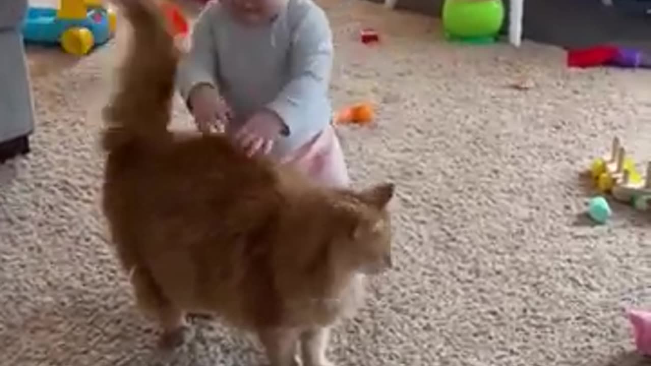 Cute baby and funny cat 😺😺