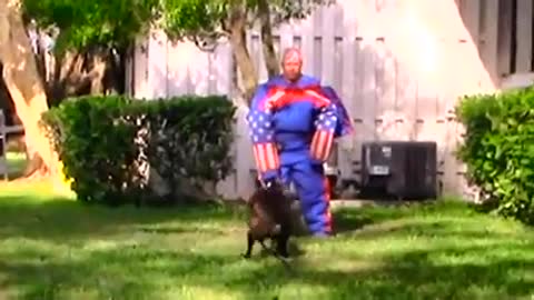 The Ultimate Protection Dog Training