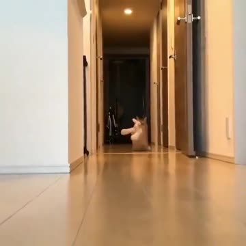 When you find your soul mate