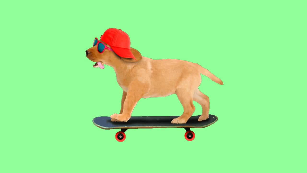 Scooter - 35712