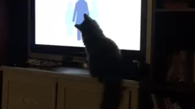 Mitten watches Tucker Carlson