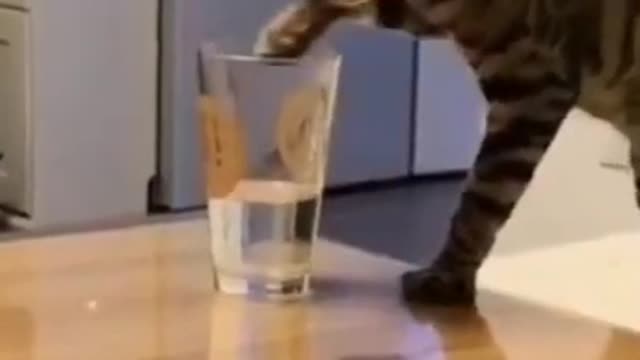 TRY NOT TO LAUGH_how to drink water from glass _ Funny Videos