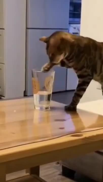TRY NOT TO LAUGH_how to drink water from glass _ Funny Videos