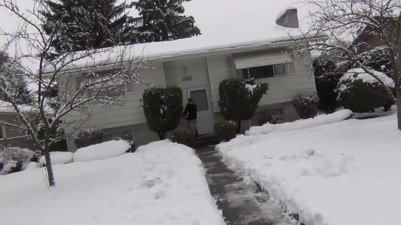 Package Thief Caught