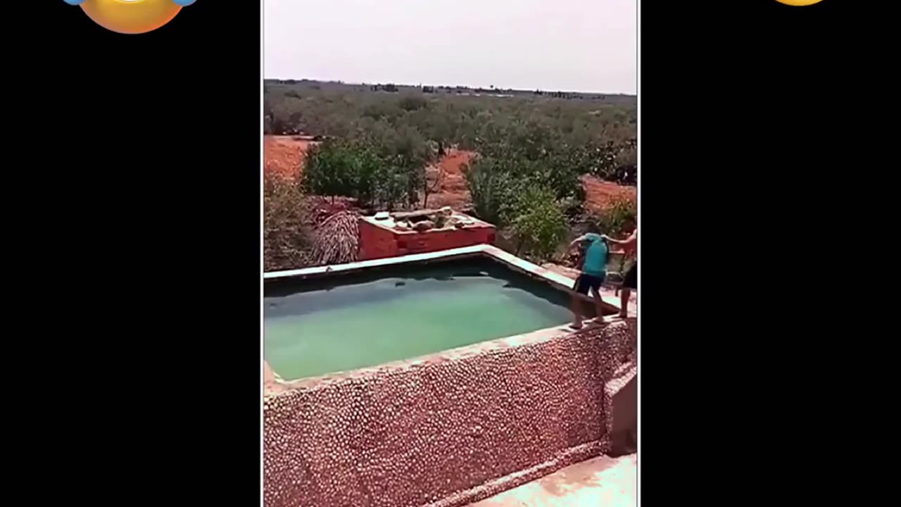 😂😅_Funny animals _try not to laugh