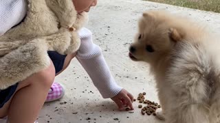 Feeding simba