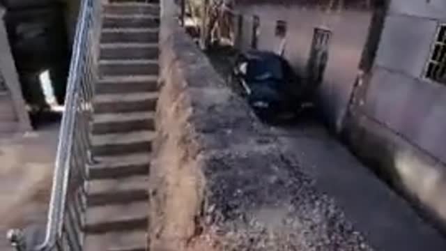 Unbelievable cat's parkour moments