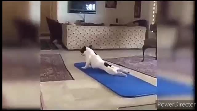 Cute baby and morning exercise boyππΆπ#shorts