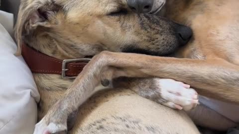 Brothers being brothers