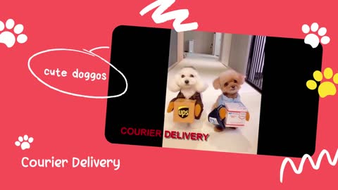 Cute doggos delivering parcels