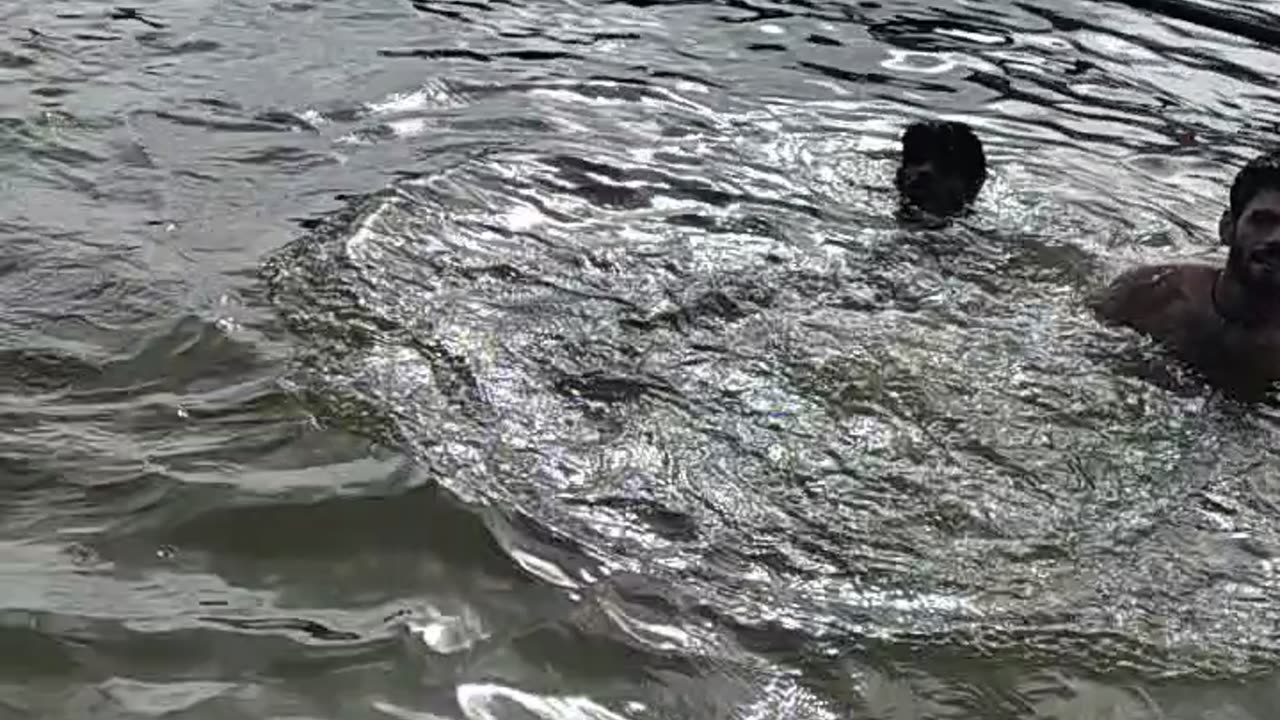 Funny and funny🤣😝