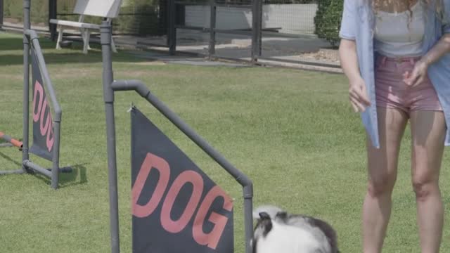 Video of a Woman Playing Dog
