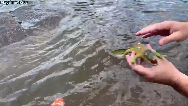 Animal Toys that you can see in the SEA.