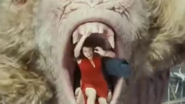 Very interesting King Kong animal video