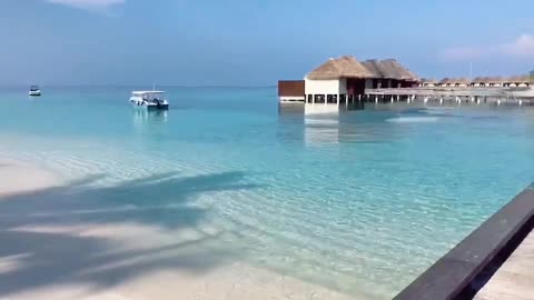 The sea is so clear that you can see the bottom, the sand is so fine that the wind can blow it away