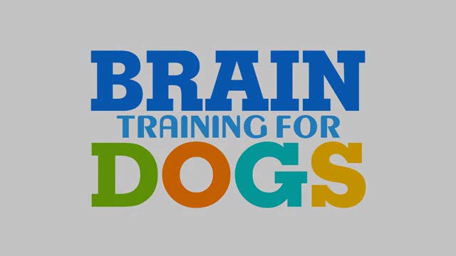 brain training for dogs 1