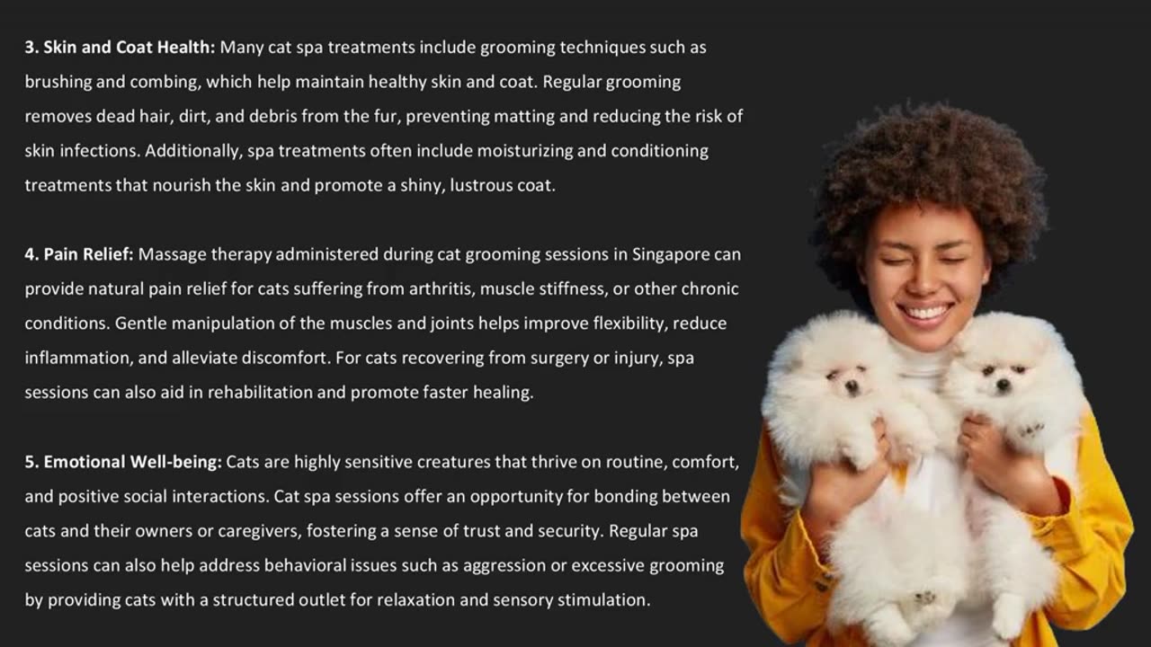 Cat grooming in Singapore are not just indulgent luxuries for pampered pets — The Pets Workshop