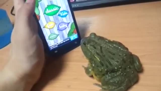 Frog and crusher vedio game