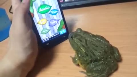 Frog and crusher vedio game