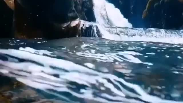 Reciting the Noble Qur’an with a natural look