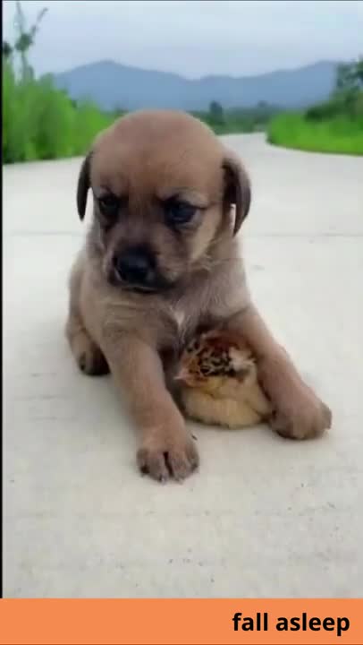 Just see for yourself :))))