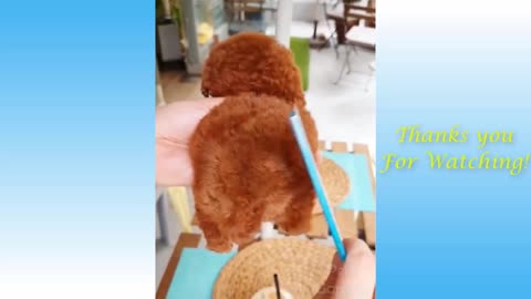 Cute Pets And Funny Animals Compilation 16 Pets Garden OBX