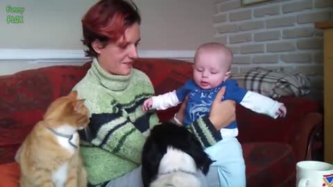 Funny Babies Laughing Hysterically at Cats Compilation (2017)