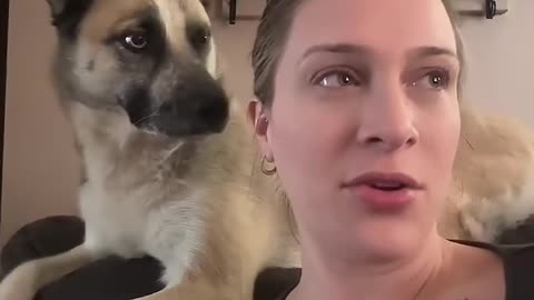 Hilarious Dog Prank by Mischievous Girl 🤣