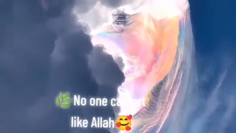 ALLAH is the best creator😱😱😱😱😱☺️