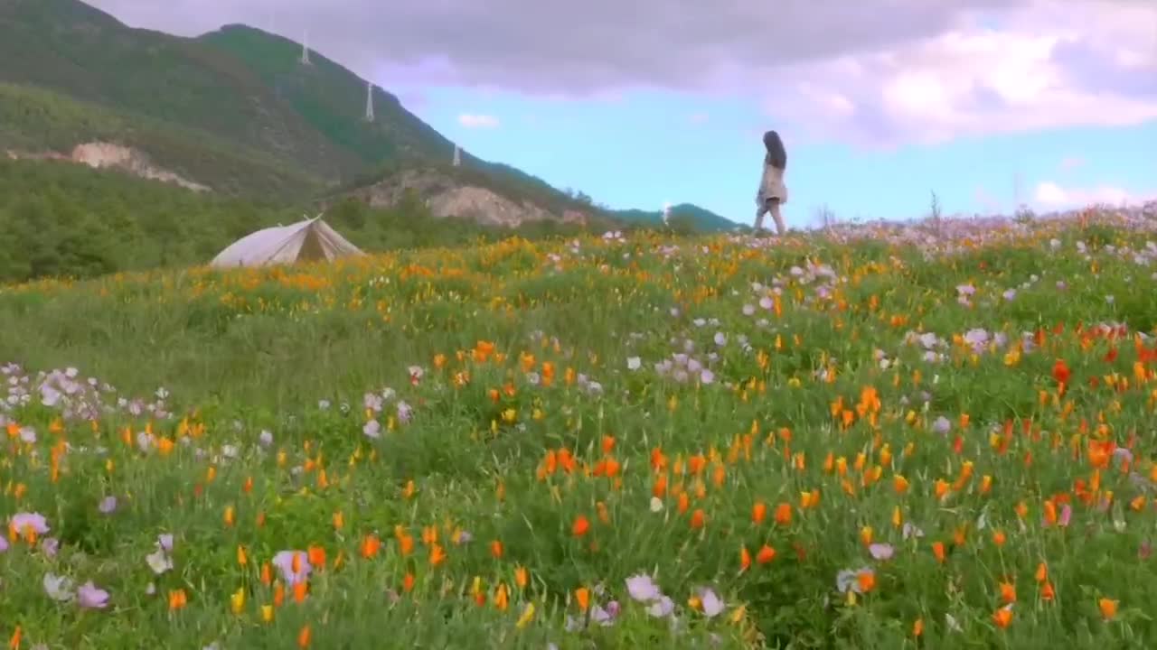 flower world