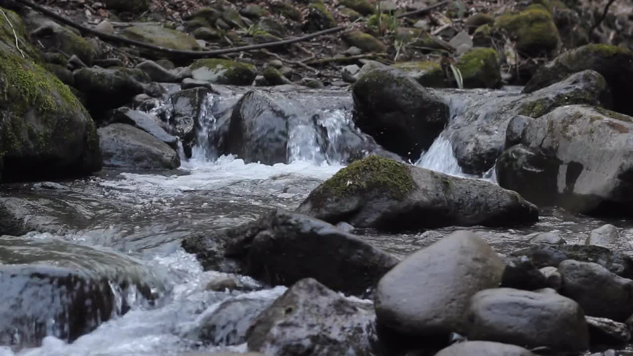 Relaxing Harp next to stream with birds chirping in background #1