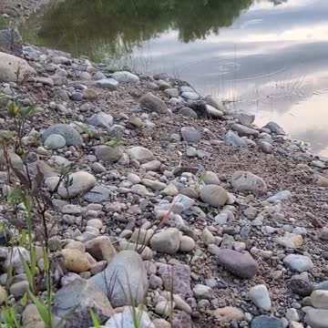 Hidden peaceful pond in Wisconsin woods