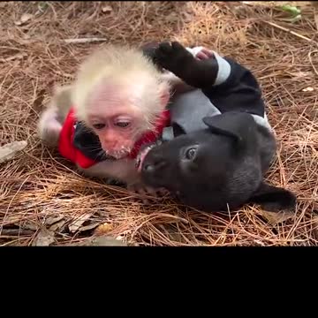 Love and love only no selfishness