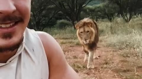 Never turn back on a lion - Watch what happens next!!!