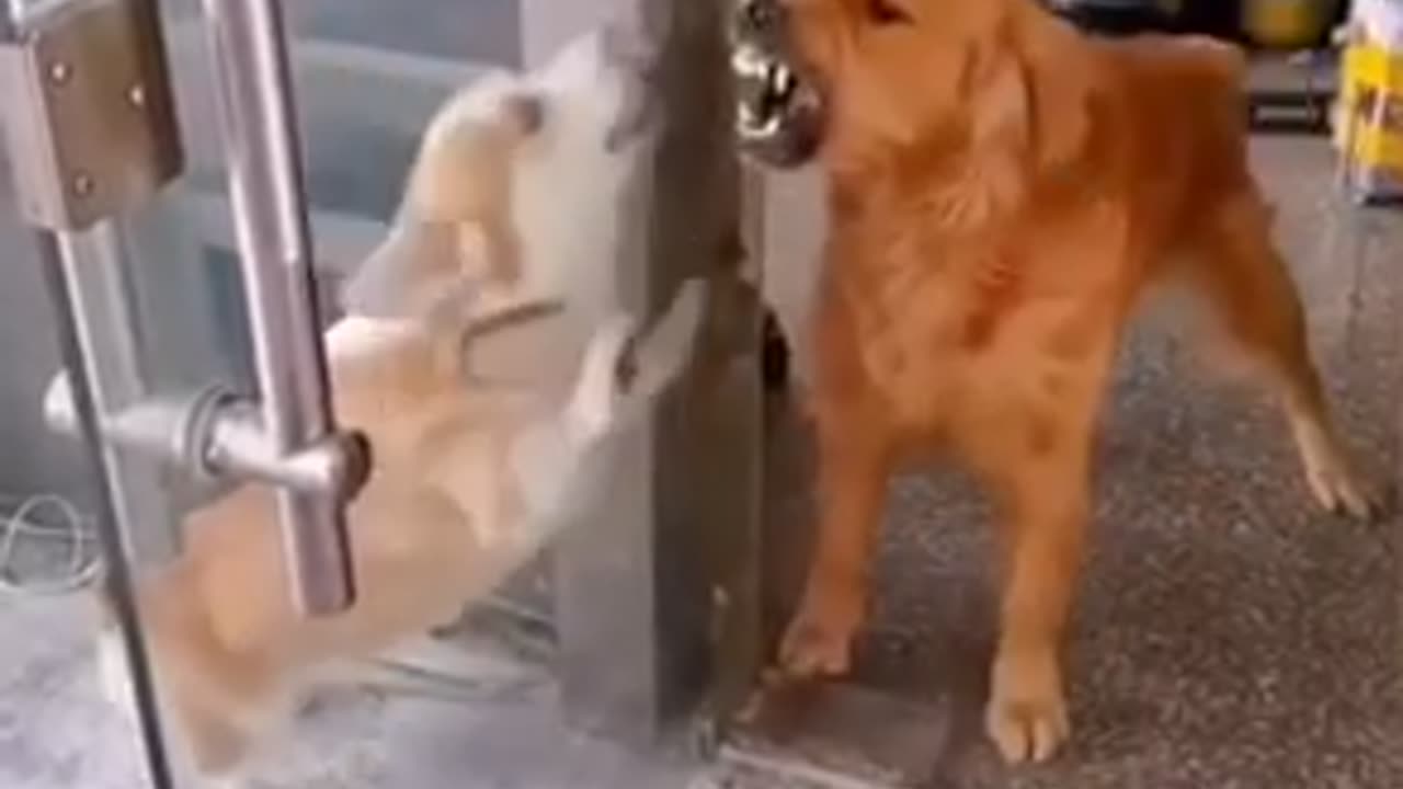 Safety first