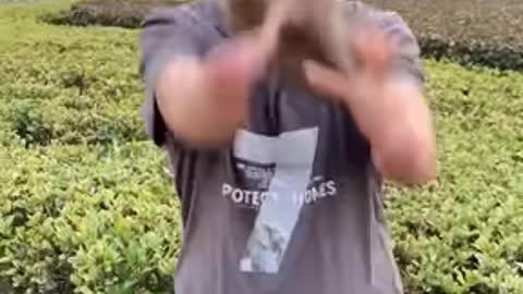 I like to move it, move it 🤣