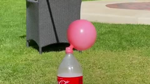 Coke and Mentos Explosion