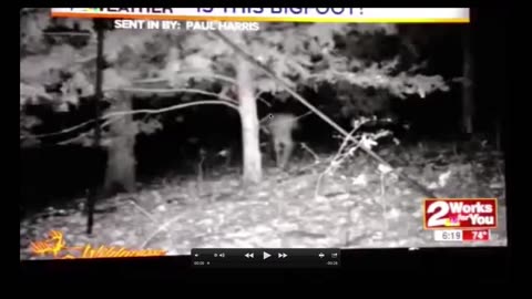 Hulbert, Oklahoma Bigfoot Breakdown