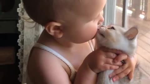 OMG 😱 cute cat 😱😘😘