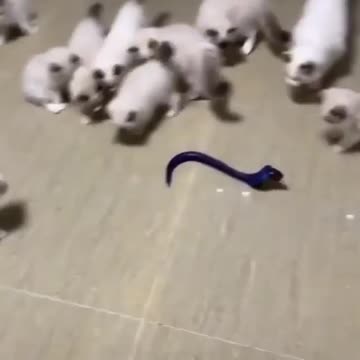 A_perfect_gift_for_youUse