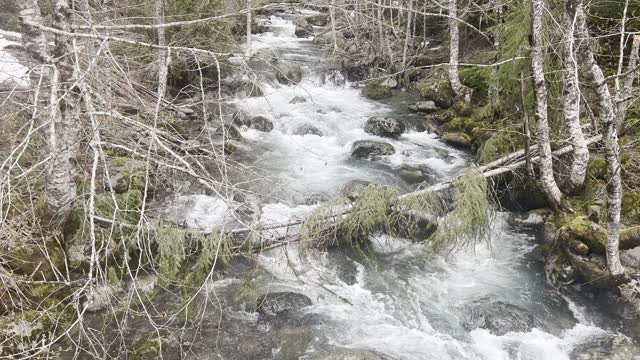 The Roaring Gale Creek Through Kachess Lake Campground – Okanogan-Wenatchee – Washington – 4K