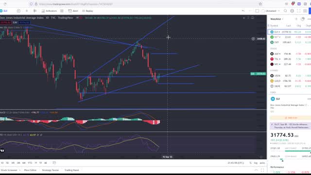 Small Market Rally Continues Until We Get An Epic Crash In The Stock Market!