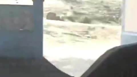 Bubbles plays dmz with Beavis and Butthead