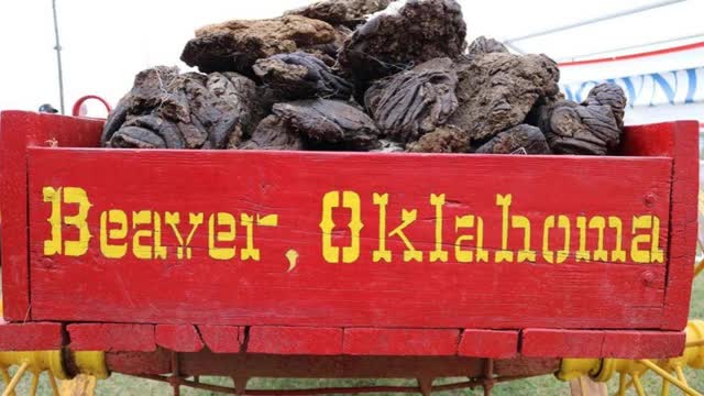 Cow Chip Throwing Capital - Beaver, Oklahoma