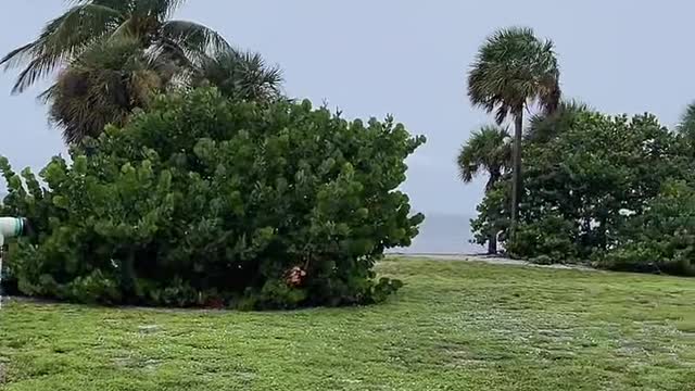 Livestream Clip 2- Hurricane Ian Arrives On Sanibel Causeway!