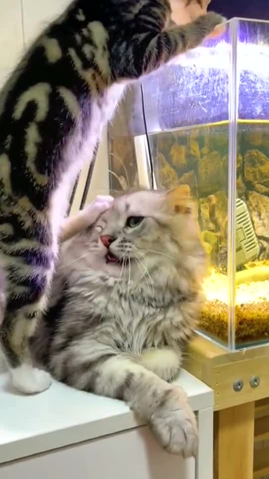 Did you find any fish?