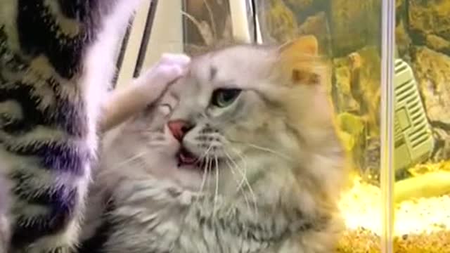 Did you find any fish?