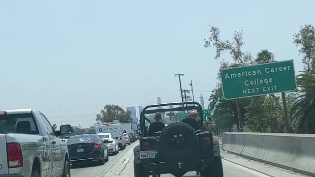 Hat-Donning Doggie Stylishly Rides in Jeep