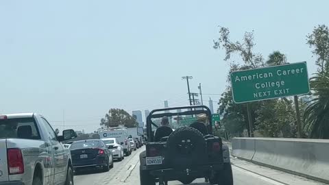 Hat-Donning Doggie Stylishly Rides in Jeep