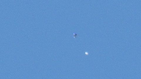 What did I just catch on camera? Cape Town 2022